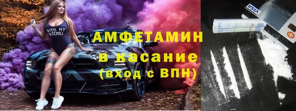 индика Волоколамск